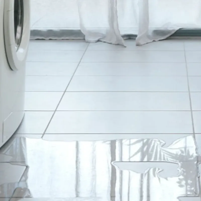 Appliance Leak Cleanup in Olyphant, PA