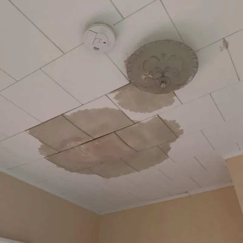 Ceiling Water Damage Repair in Olyphant, PA