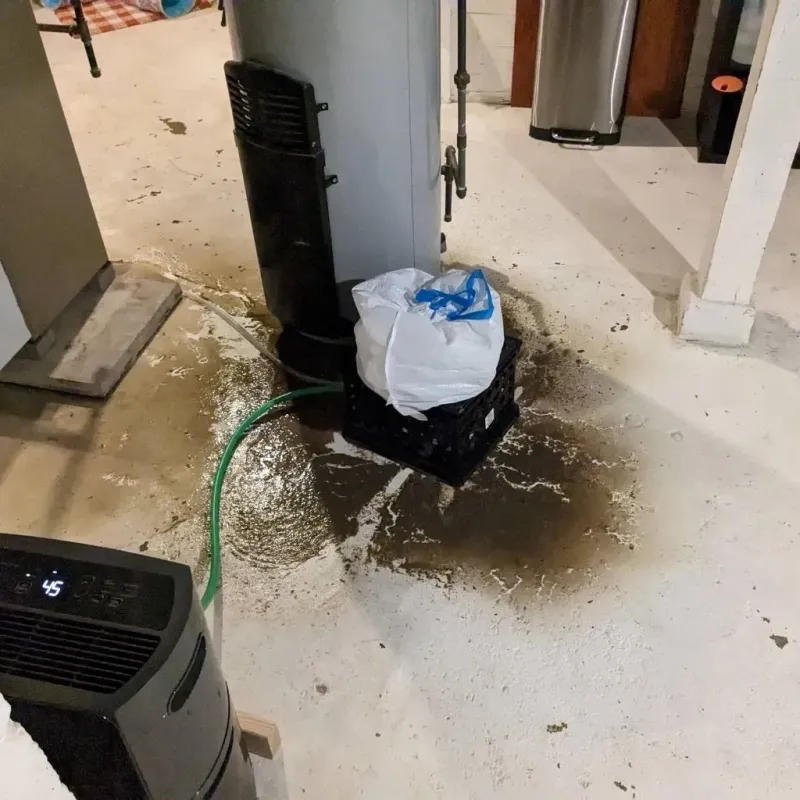 Sewage Backup Cleanup Service in Olyphant, PA
